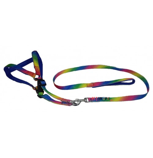Scoobee Dog Multicolor Padded Nylon Harness And Leash Set 0.75 Inch Petshop18.com
